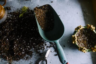 コーヒーかすを庭にまくと除草剤や虫除けになる？再利用方法やカビない乾かし方まで詳しく紹介