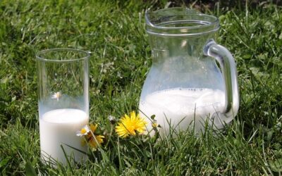 雑菌の量、牛乳の種類…固まらない、分離する時の原因