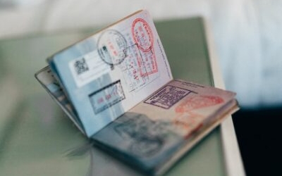 免許証、パスポート、保険証…何をすればいい？その他の手続き